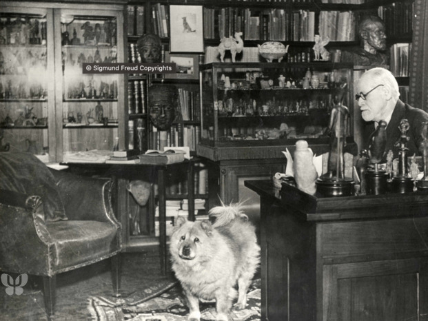 Sigmund Freud nel suo studio con il suo cane (1937)