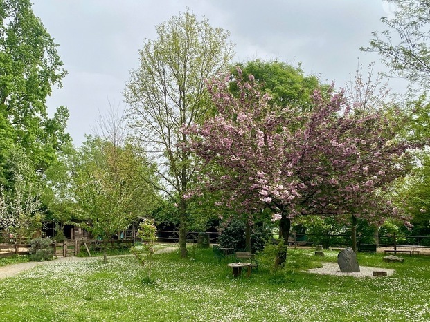 Centro Armonico Terapeutico, Campogalliano